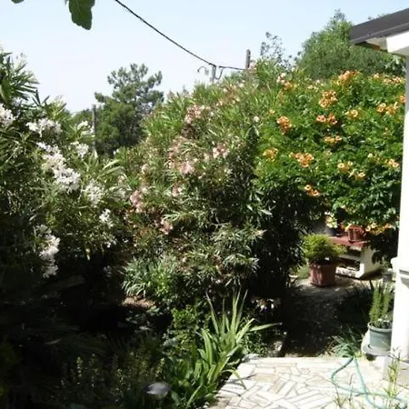 Geraeumige Mit Meerblick Und Balkon